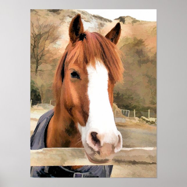 POSTER CHESTNUT CHEVAL (Devant)