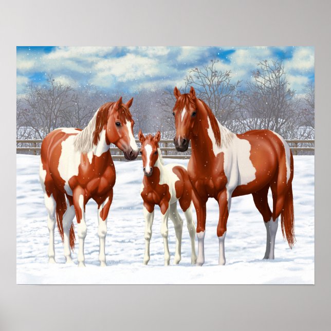 Poster Chestnut Pinto Sorrel Peinture Quarter Chevaux Dan (Devant)