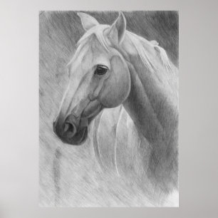 Poster Cheval