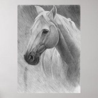 Poster Cheval