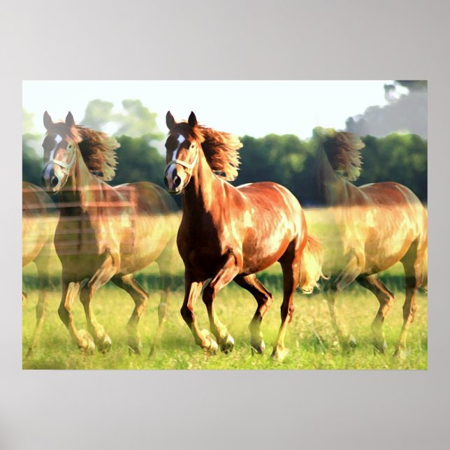 Poster Cheval (Devant)