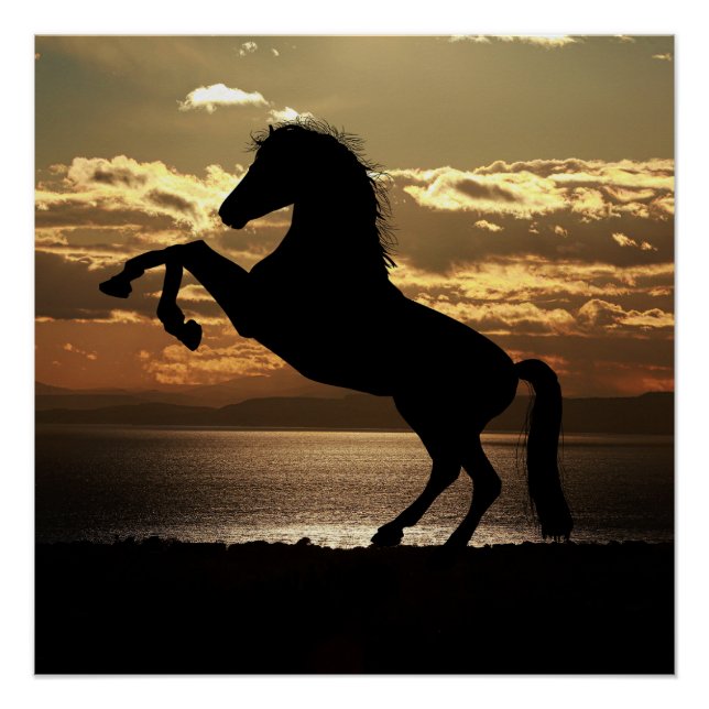Poster cheval (Devant)