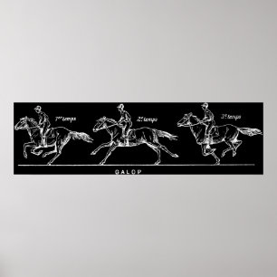 Poster Cheval