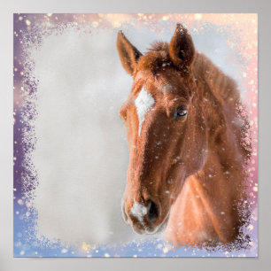 Poster Cheval