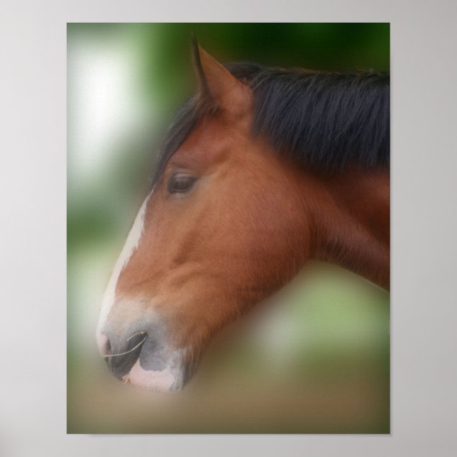 Poster Cheval à bascule de la côte beau (Devant)