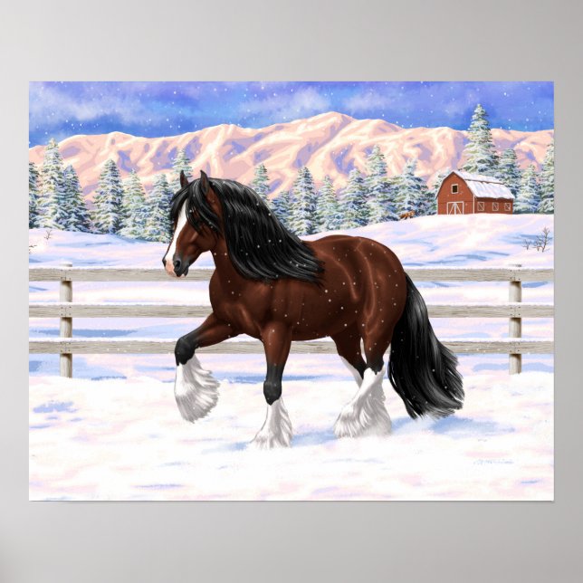 Poster Cheval À Repasser De La Vannière Tzigane De Baie B (Devant)