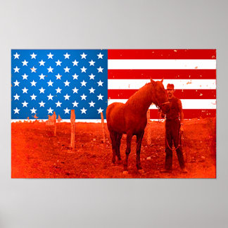 Poster Cheval américain