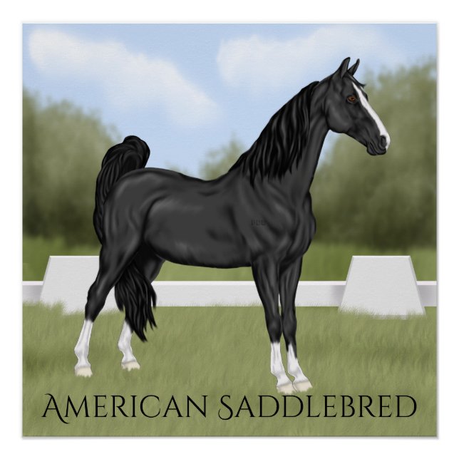 Poster Cheval américain de race selle (Devant)