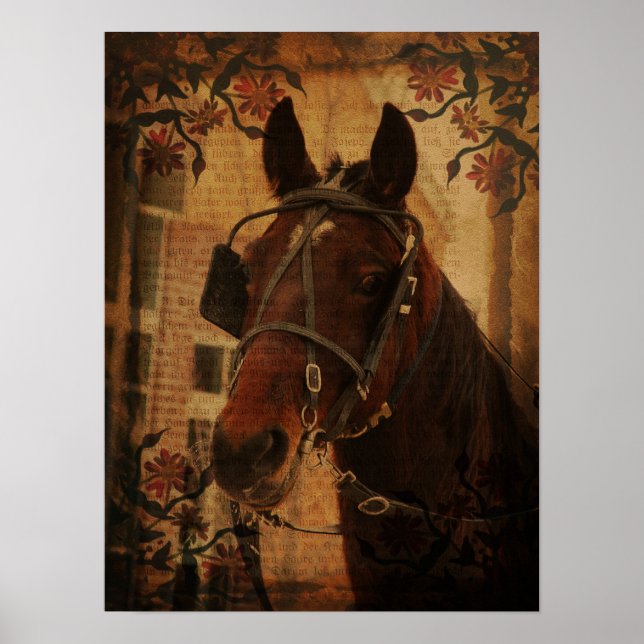 Poster Cheval Amish (Devant)