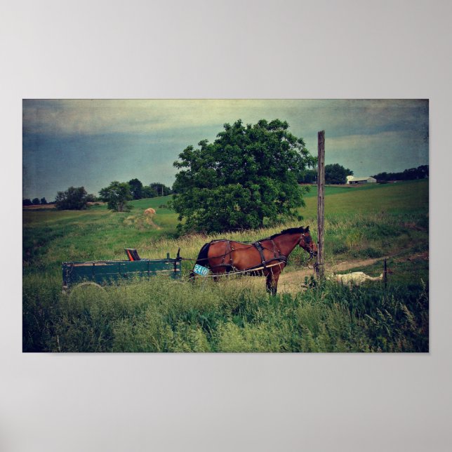 Poster Cheval Amish en attente (Devant)