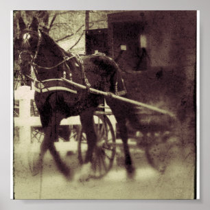Poster Cheval Amish et Buggy