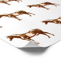 Cheval Appaloosa Aquarelle Équestre Animal