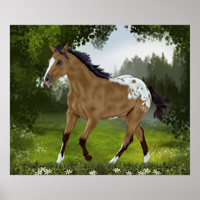 Poster Cheval Appaloosa Buckskin (Devant)