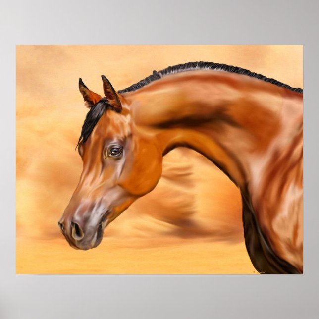 Poster Cheval arabe (Devant)