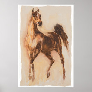 Poster cheval arabe