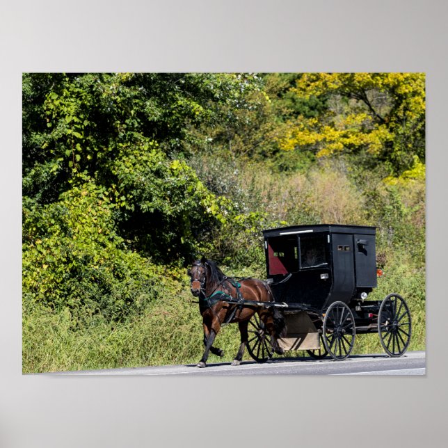 Poster Cheval avec buggy dans le pays Amish (Devant)