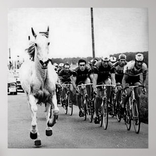 Poster Cheval Blanc 1975 Tour De France Couleur Redux