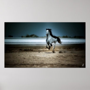 Poster Cheval blanc courant sur la plage