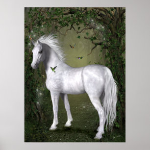 Poster Cheval blanc dans les bois avec colibris Imprimer