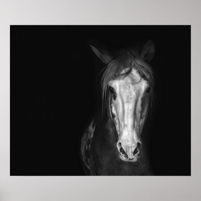 Poster Cheval blanc noir moderne dramatique (Devant)