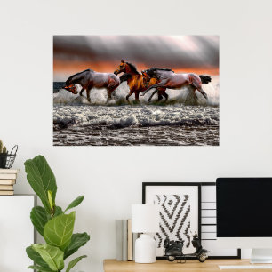 Poster Cheval Blanc Noir Monochrome toile photo