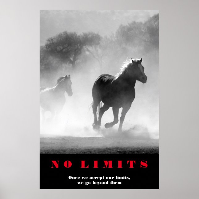 Poster Cheval Blanc Noir Motivation Sans Limites Oeuvre (Devant)