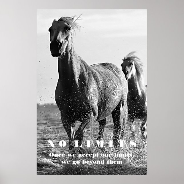 Poster Cheval Blanc Noir Motivation Sans Limites Oeuvre (Devant)