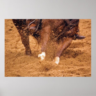 Poster Cheval coupant glissant dans l'affiche de la tête