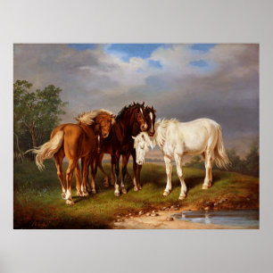 Poster Cheval de Caramel Brown blanc