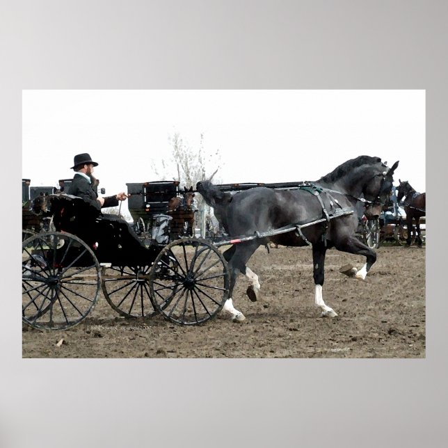 Poster Cheval de conduite vintage (Devant)