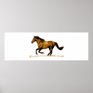Poster Cheval de course