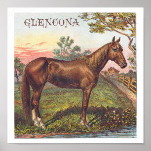 Poster Cheval de course de marron Vintage Glencona