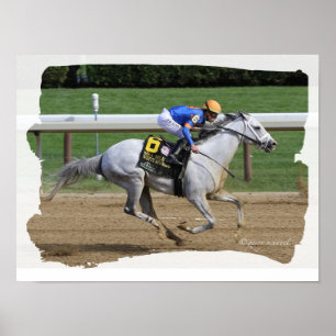 Poster Cheval de course - White Abarrio et jockey Irad Or