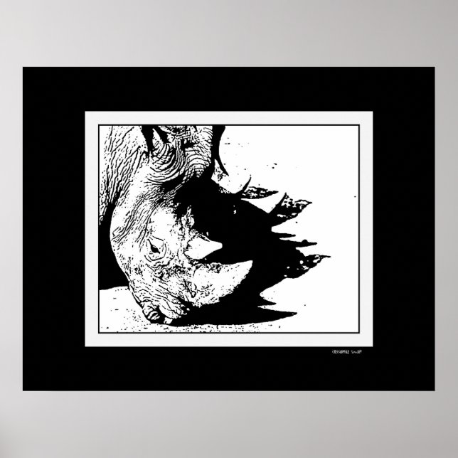 Poster Cheval de l'ombre (Devant)