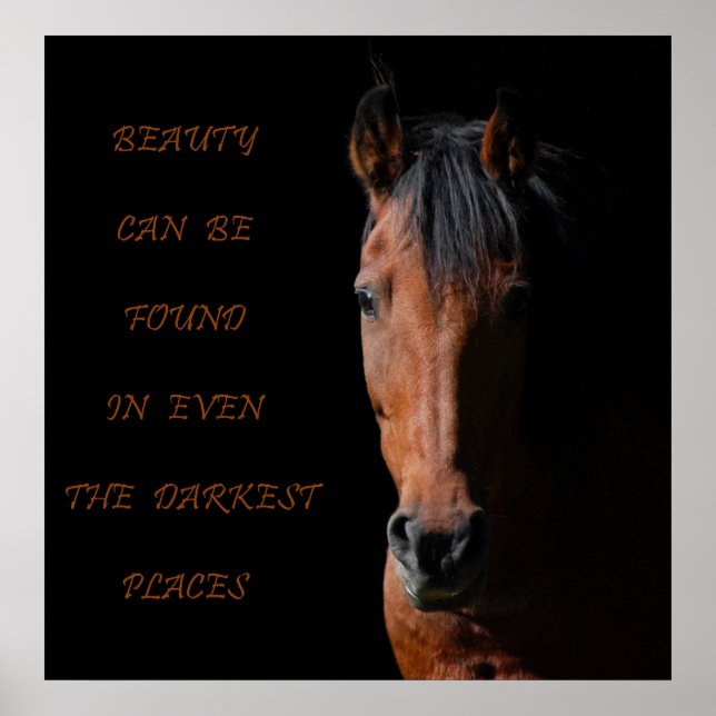 Poster Cheval de l'ombre Inspiration (Devant)