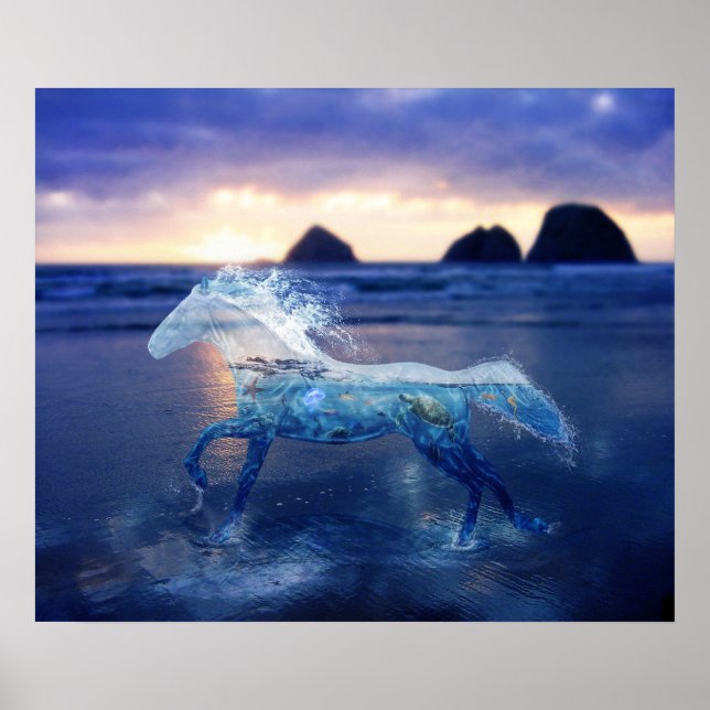 Poster Cheval de mer (Devant)