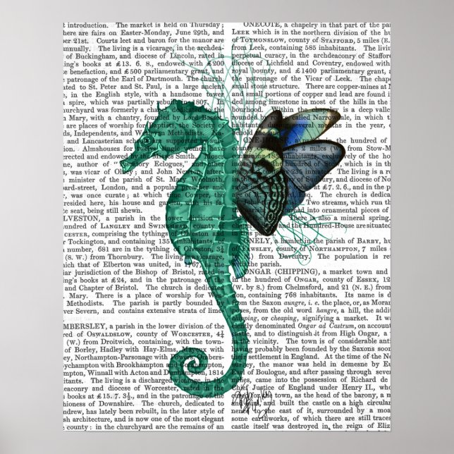 Poster Cheval de mer ailé (Devant)