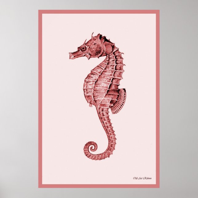 Poster Cheval De Mer En Rose (Devant)