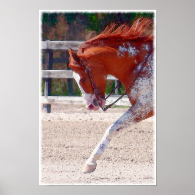Poster Cheval de peinture (Devant)