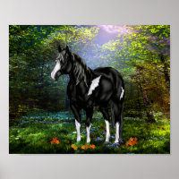 Cheval de peinture à ciel ouvert noir et blanc