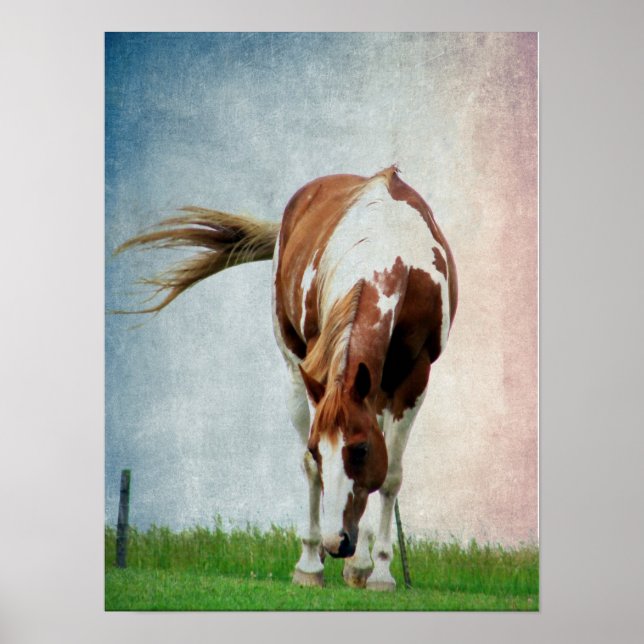 Poster Cheval de peinture clinquant Mare (Devant)