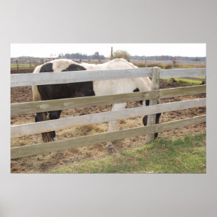 Poster Cheval de peinture en Corral