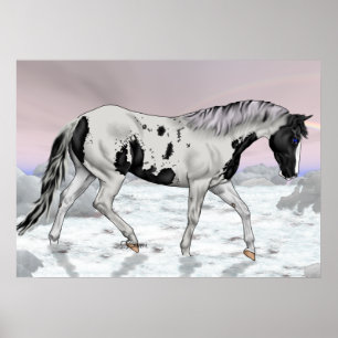 Poster Cheval de peinture Tovero noir en neige