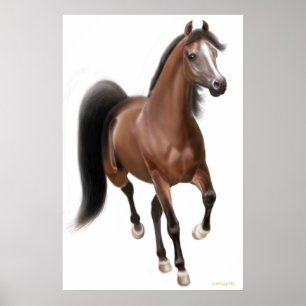 Poster Cheval de Trotting Bay