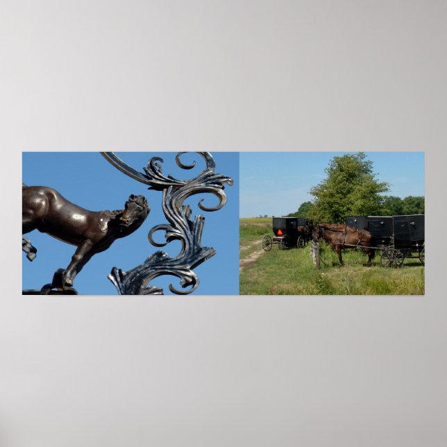 Poster Cheval de ville, Chevaux de campagne (Devant)