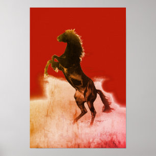 Poster Cheval d'élevage