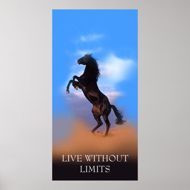 Poster Cheval d'élevage motivationnel Vit sans limites (Devant)