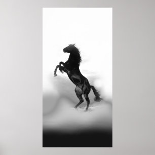 Poster Cheval d'élevage noir blanc