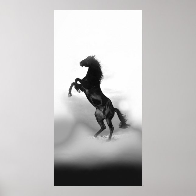 Poster Cheval d'élevage noir blanc (Devant)