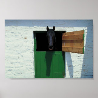 Poster Cheval déposé avec porte française